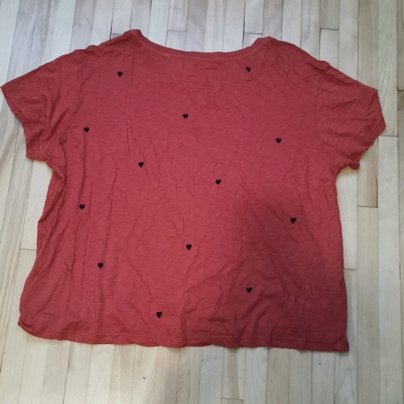 3/60$💚Sundry  Pima Cotton t-shirt bnwt size 3 - Picture 4 of 6